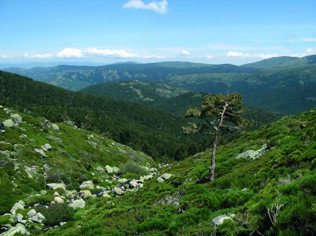 Sierra de Guadarrama Sierra de Guadarrama