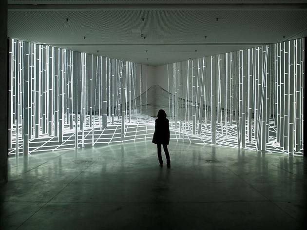 Ilusiones lumínicas El Bosque Encantado