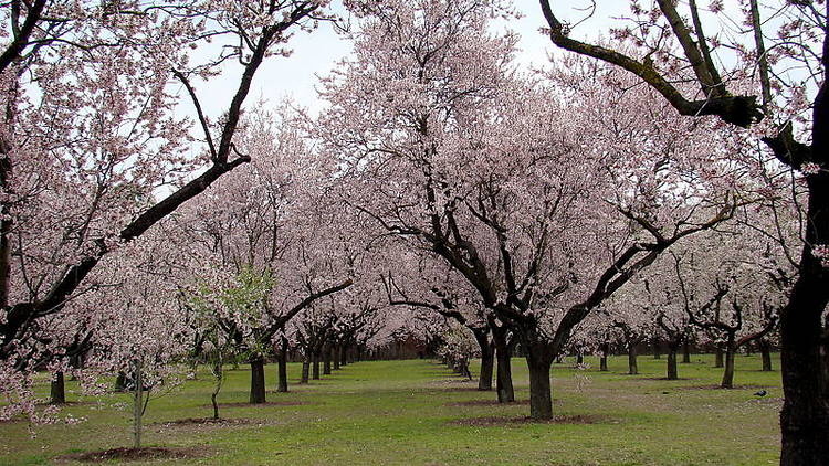 Acercarse a la Quinta de los Molinos