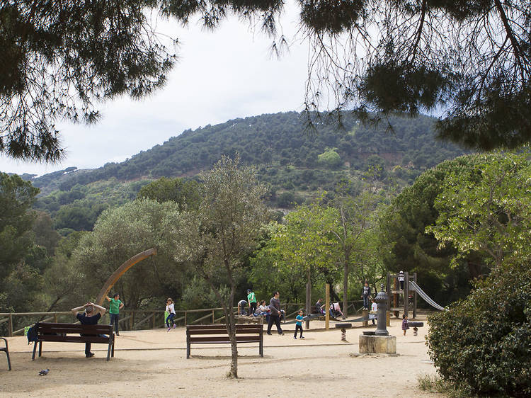 Escapada a un bosc enmig de la ciutat