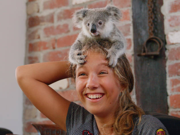 Izzy y los koalas: Temporada 2 Izzy y los koalas: Temporada 2