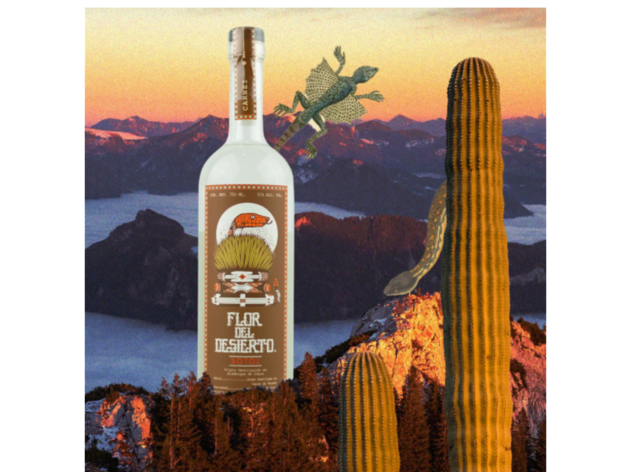 Sotol flor del desierto. Carne Sotol flor del desierto. Carne
