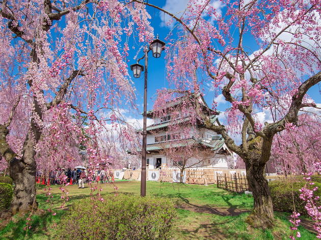 Hirosaki Castle_弘前城_ Hirosaki Castle_弘前城