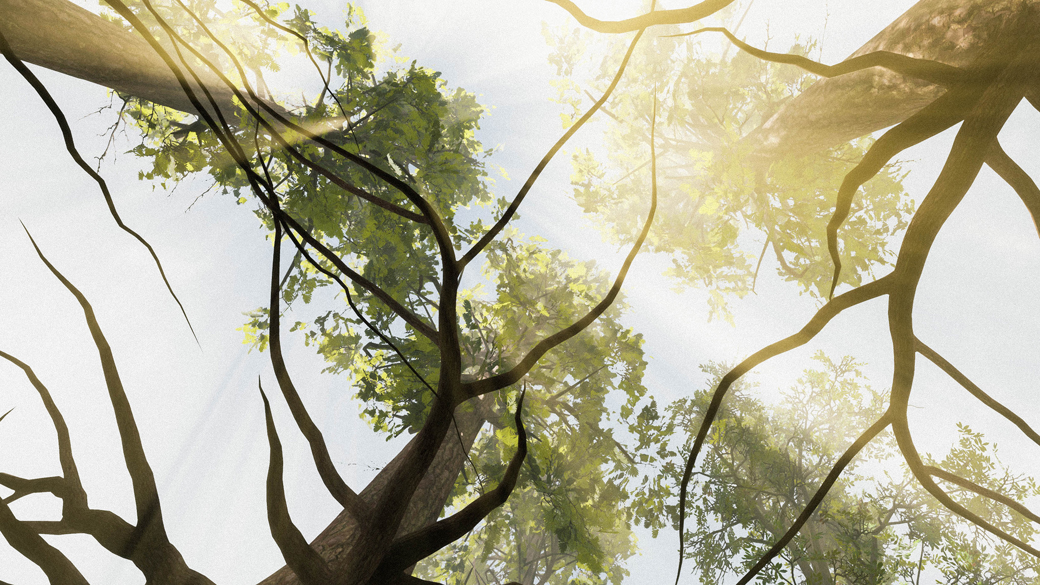 Akiko Yamashita. LUMINEX installation rendering titled: Forest Perception — if a tree talks in the forest, does anyone listen?