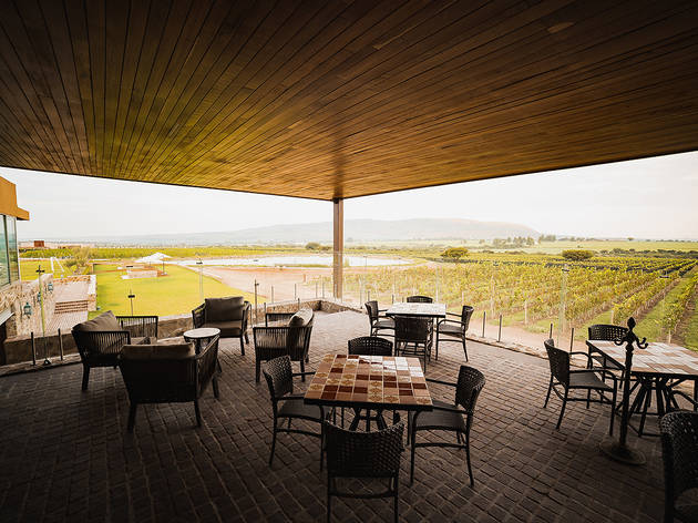 Viñedo Tres Raíces Restaurante con mesas en terraza con vista a un viñedo