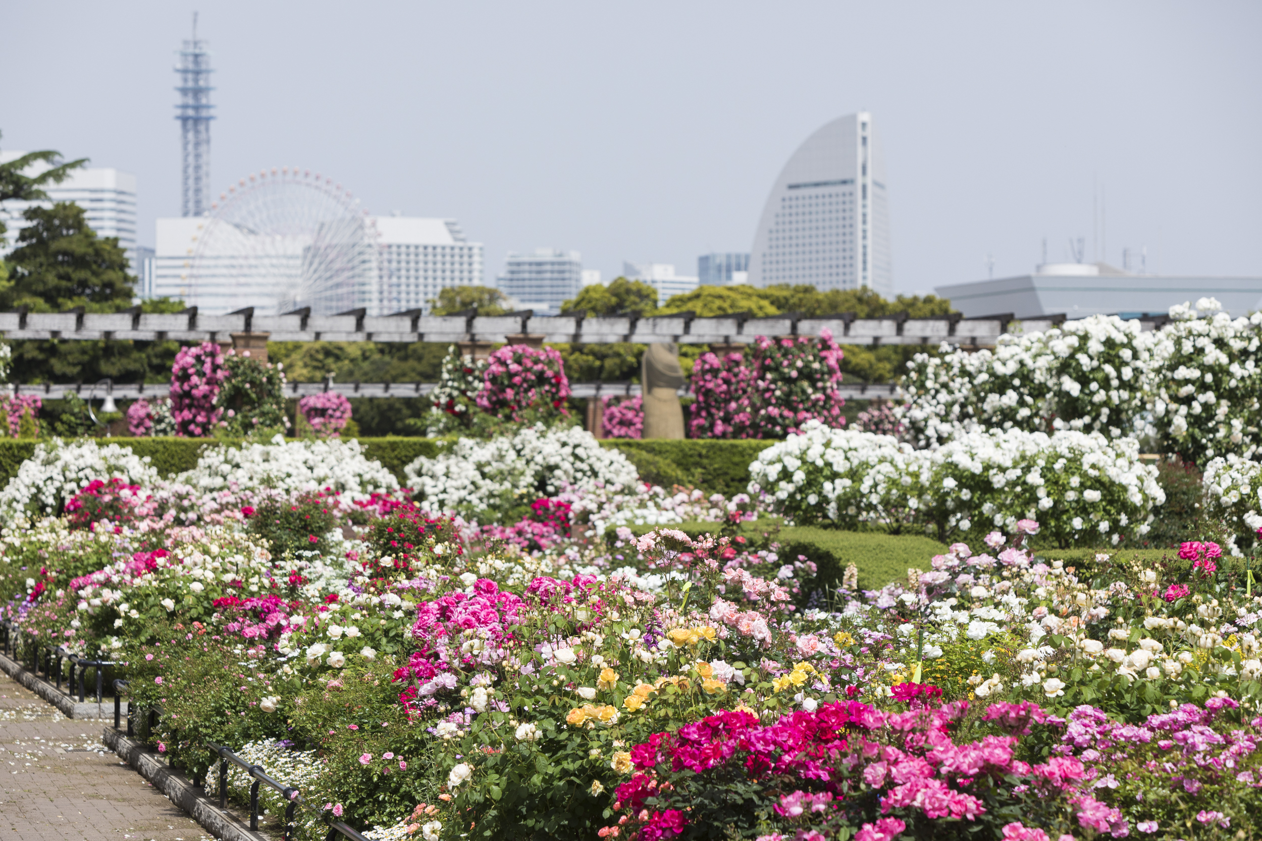 See All The Spring Flowers In Bloom At Garden Necklace Yokohama For Free