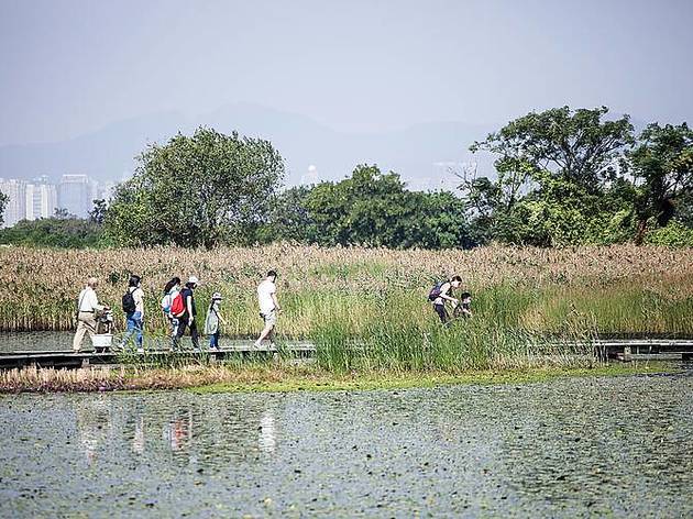 Mai Po Nature Reserve Mai Po Nature Reserve