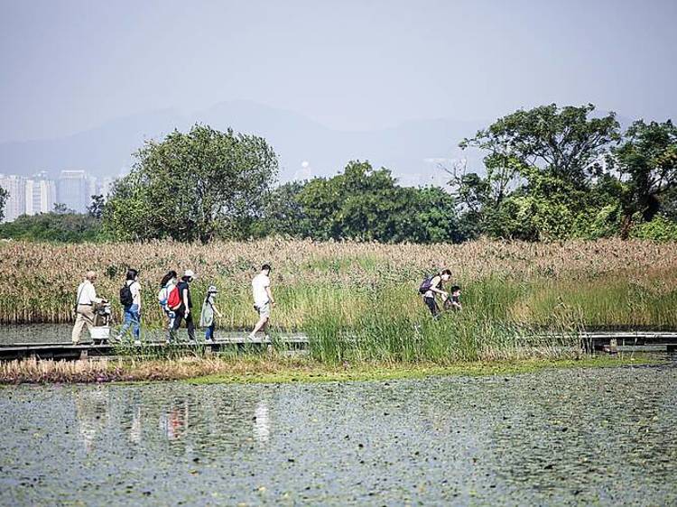 Connect with Nature @ Mai Po 