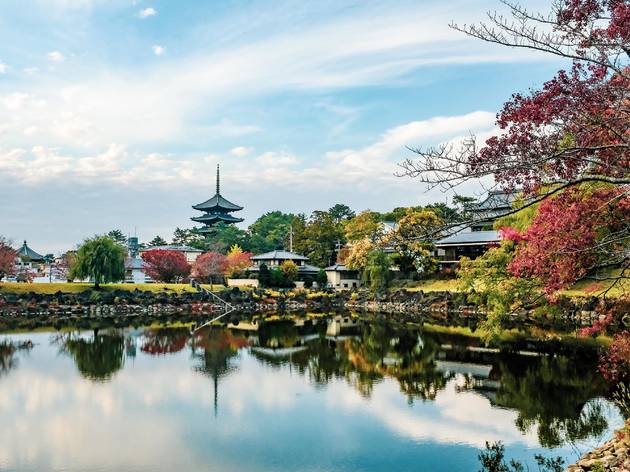 Nara Nara