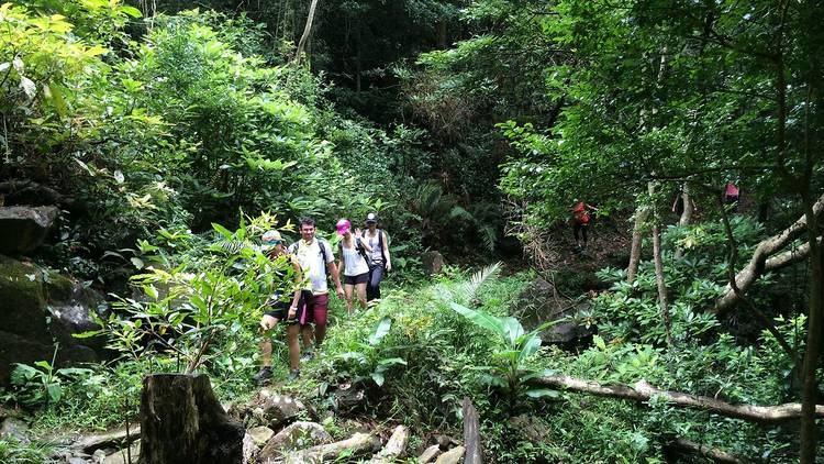 The best Hong Kong hiking trails