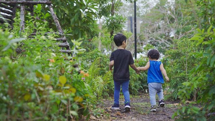 Coastal Playgrove