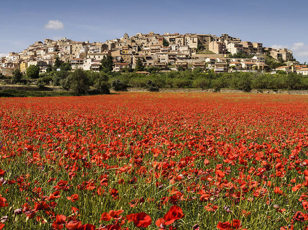 Horta de Sant Joan Horta de Sant Joan