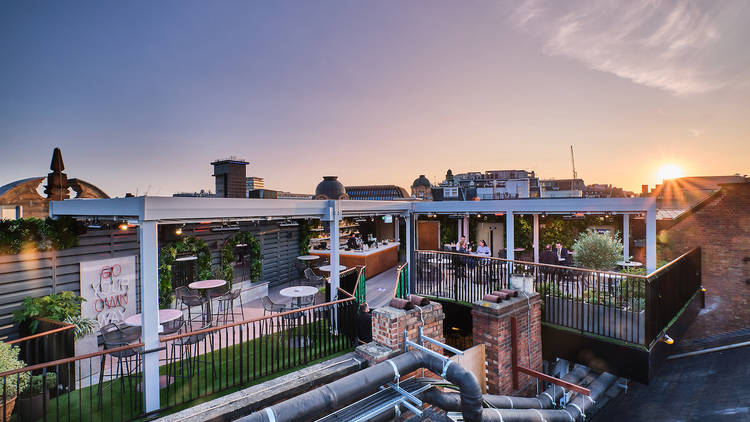 Rooftop bar, cocktails