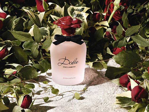 Dolce Rosa Dolce Rosa Excelsa