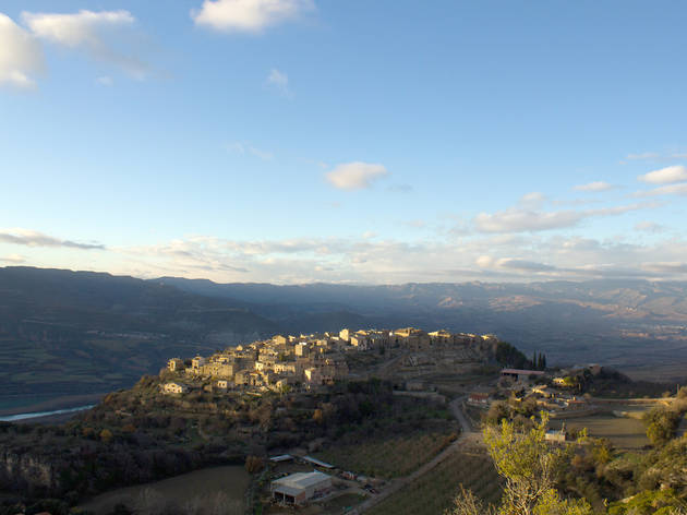 Llimiana llimiana
