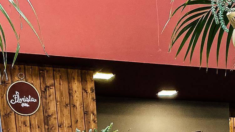 As melhores lojas para comprar plantas no Porto