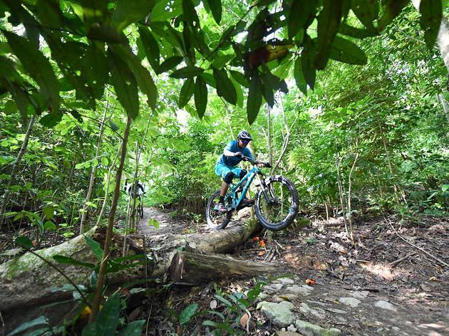 7 Best Mountain Biking Trails in Singapore