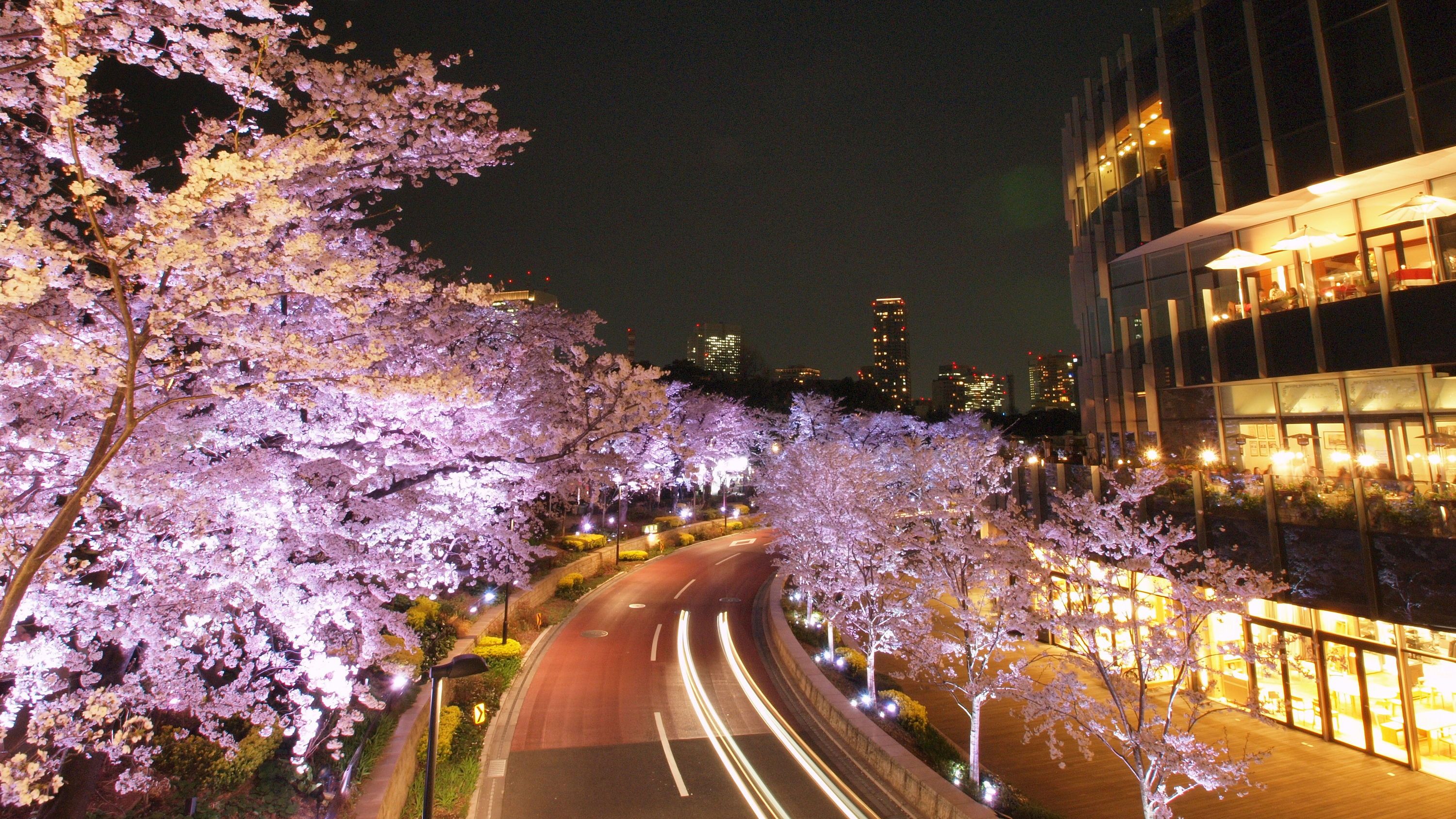 THREETHREE 限定 X02 SAKURA MIDTOWN Midtown Blossom | Things to do in Tokyo