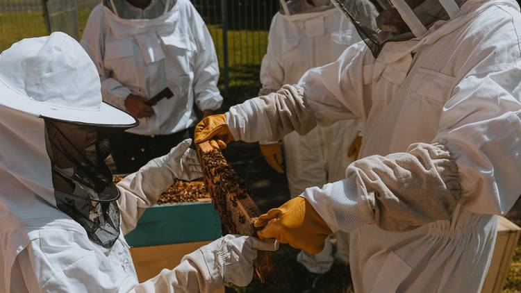 Urban Hum Beekeeping Workshops