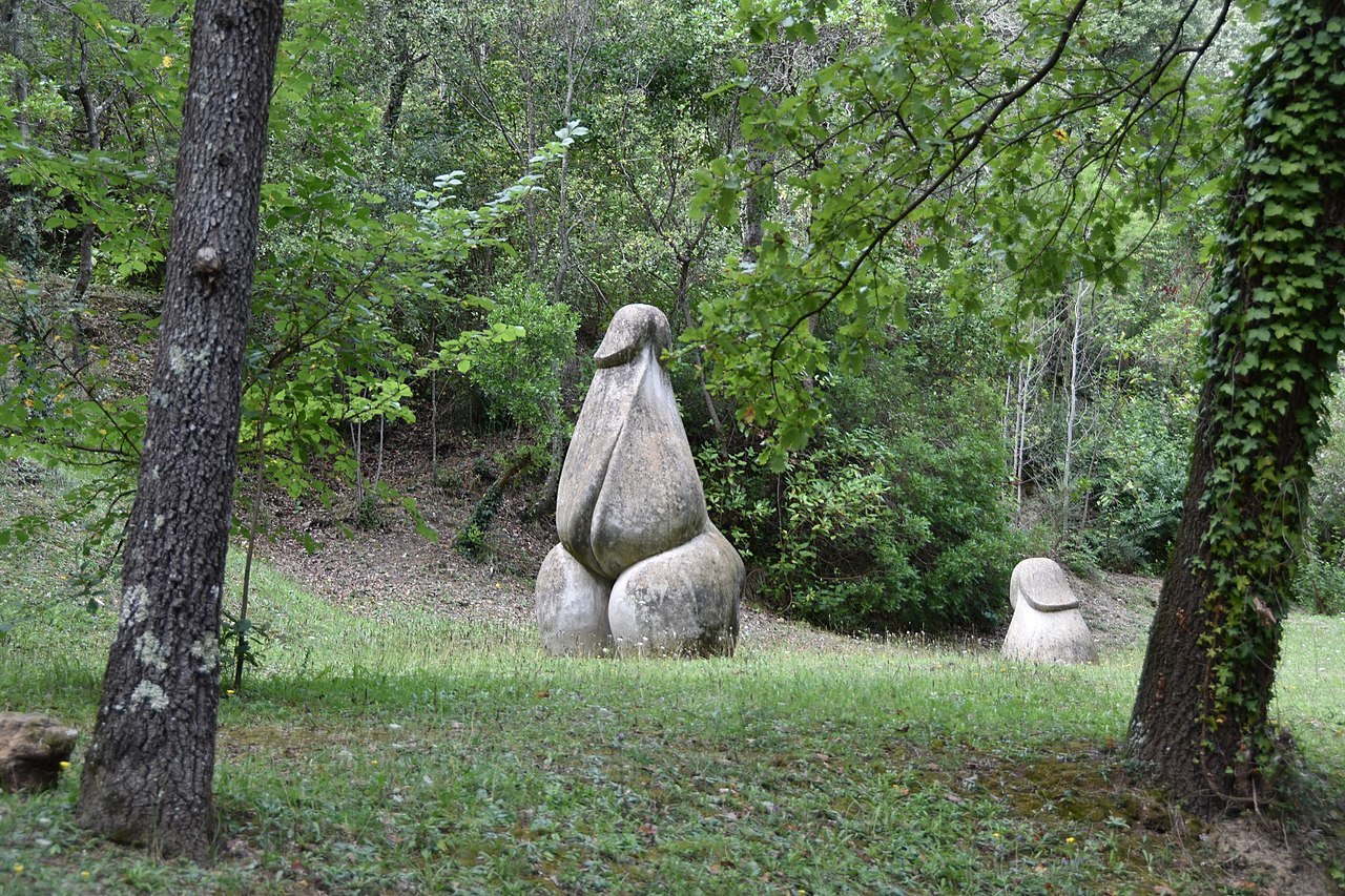 Bosc de Can Ginabreda