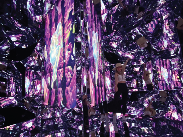 Quantum Mirror Quantum Mirror