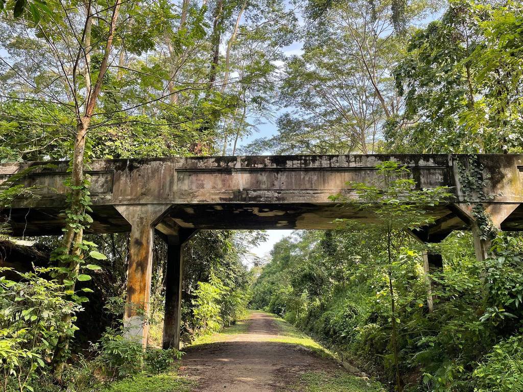 The Ultimate Guide To The Rail Corridor In Singapore