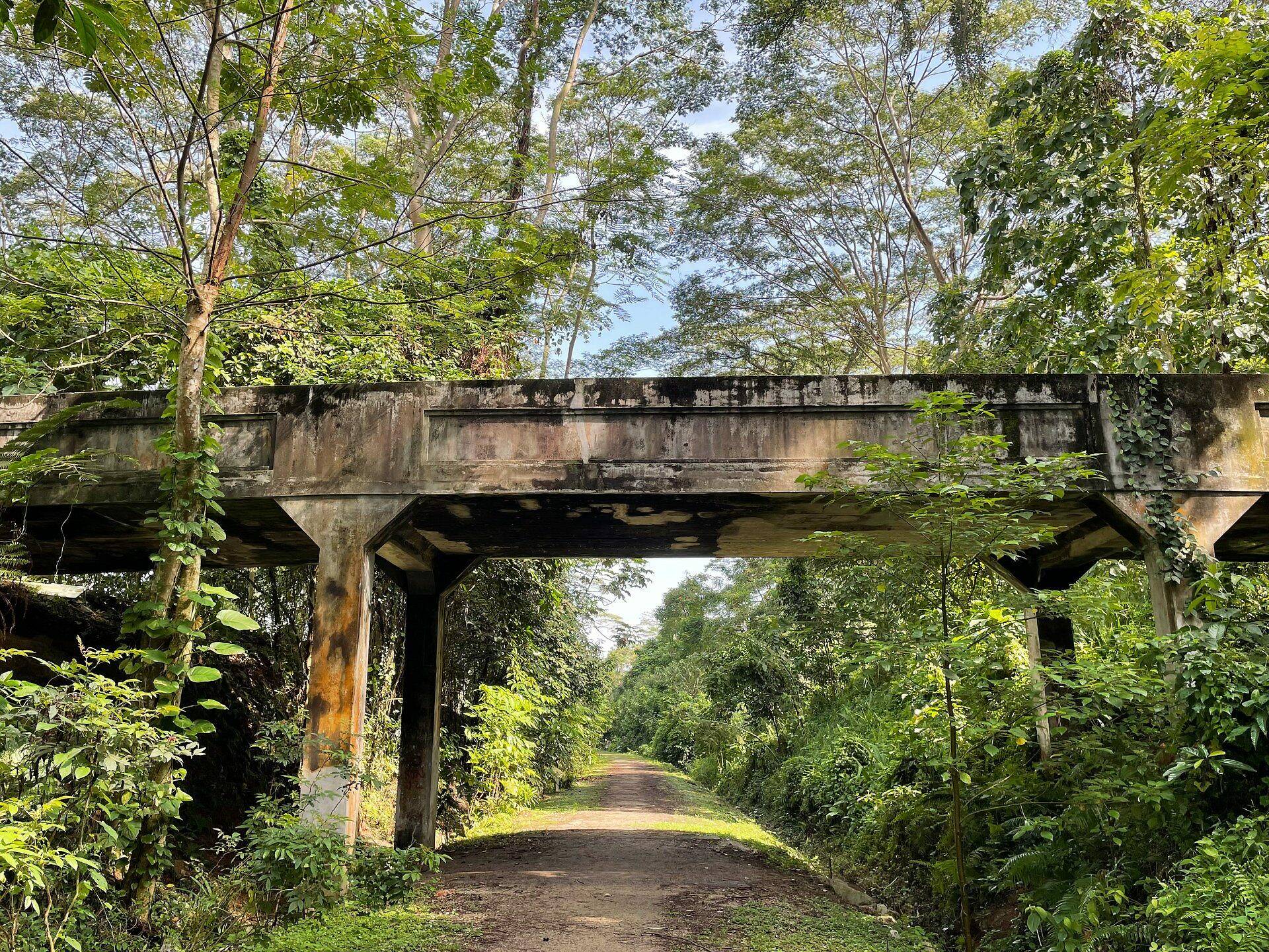 The Ultimate Guide To The Rail Corridor In Singapore
