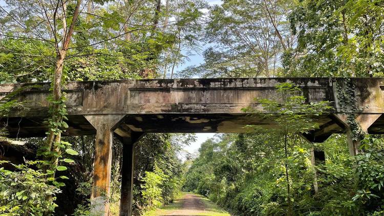 Hindhede Bridge and Underpass