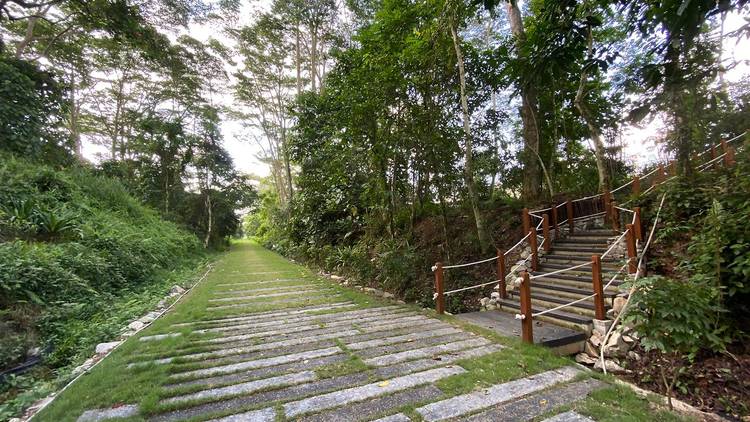 The Rail Corridor