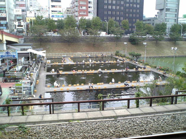 市ヶ谷フィッシュセンター 市ヶ谷フィッシュセンター