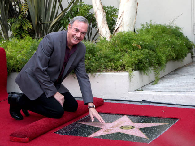 A new musical about Neil Diamond is likely coming to Broadway