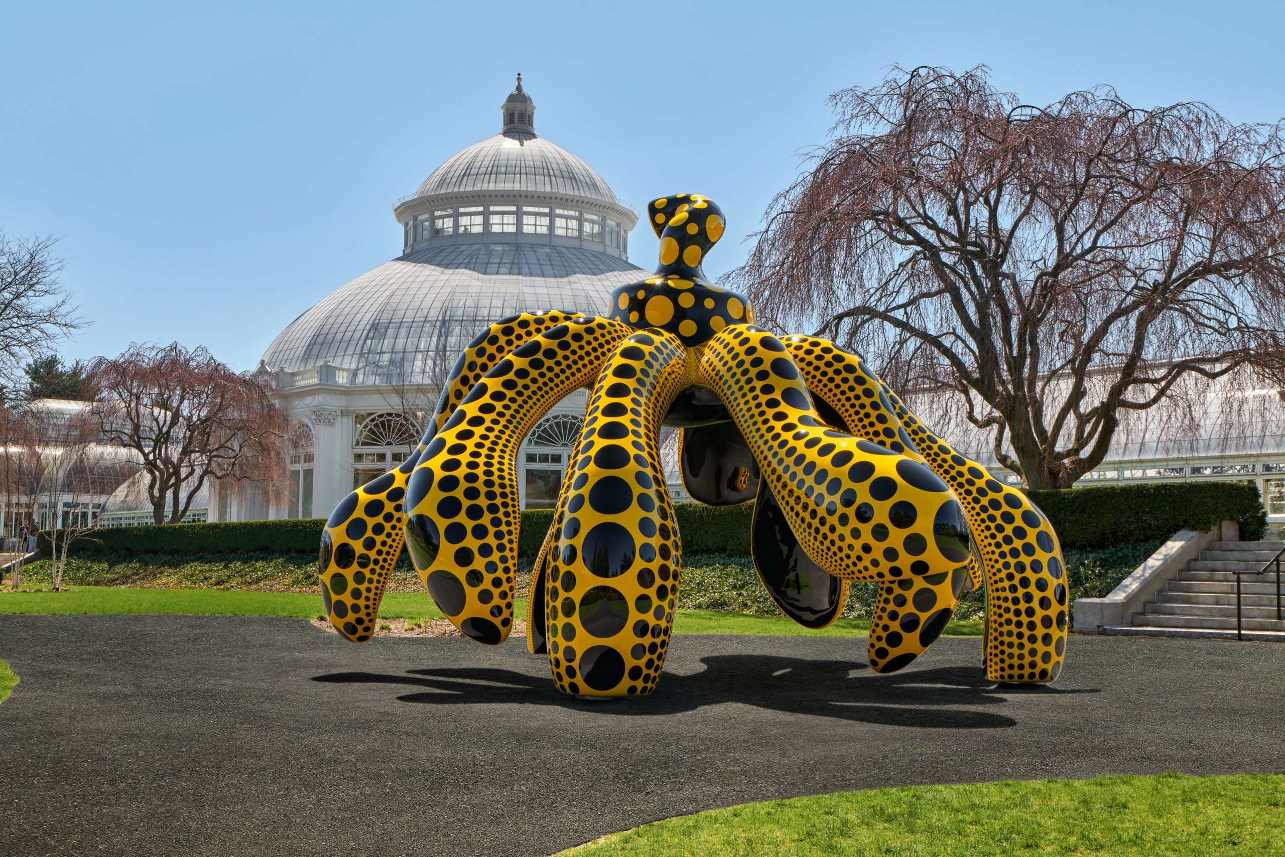 Who says New York isn't colorful in January?! Yayoi Kusama for