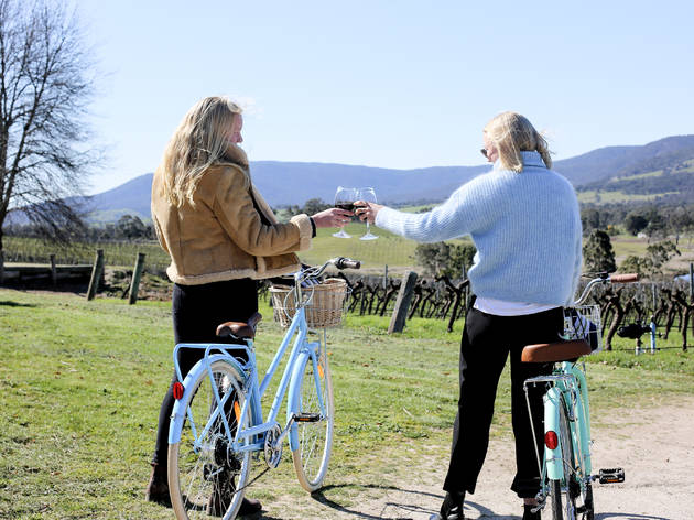 Garmpians road trip Two people cheers with glasses of shiraz outside at Mount Langi Ghiran. They are both standing beside bicycles. A sunny vineyard and mountains can be seen in the background.