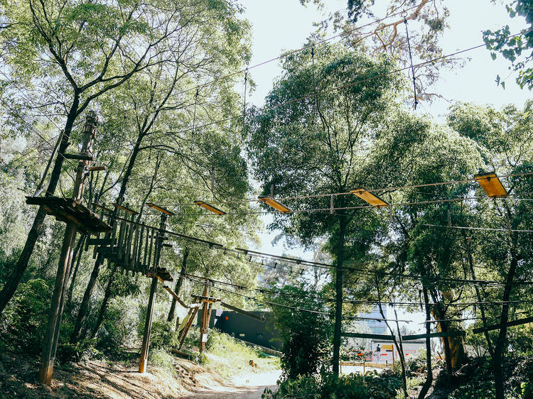 Canopy circuit at Parque Palmela