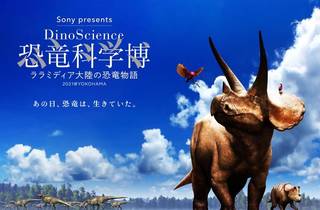【匿名配送】恐竜科学博 ララミディア大陸の恐竜物語 図録 | Dino | Science | 恐竜科学博 | ララミディア大陸の恐竜物語