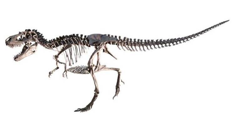 Sony presents DinoScience 恐竜科学博 ～ララミディア大陸の恐竜物語～