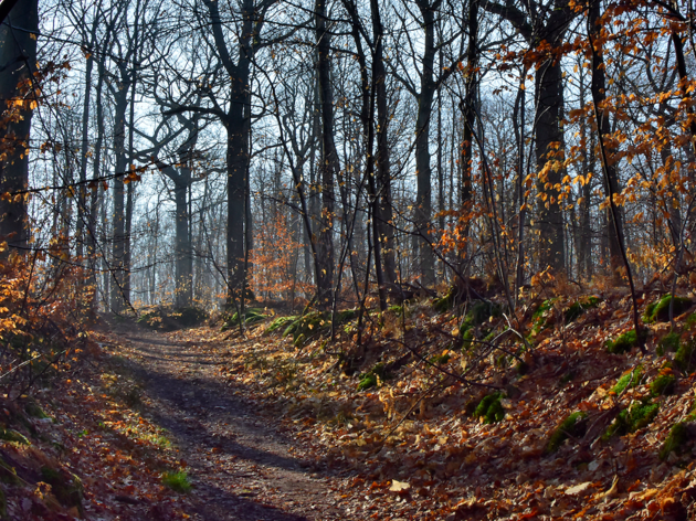 © Pascal Vu / Flickr © Pascal Vu / Flickr