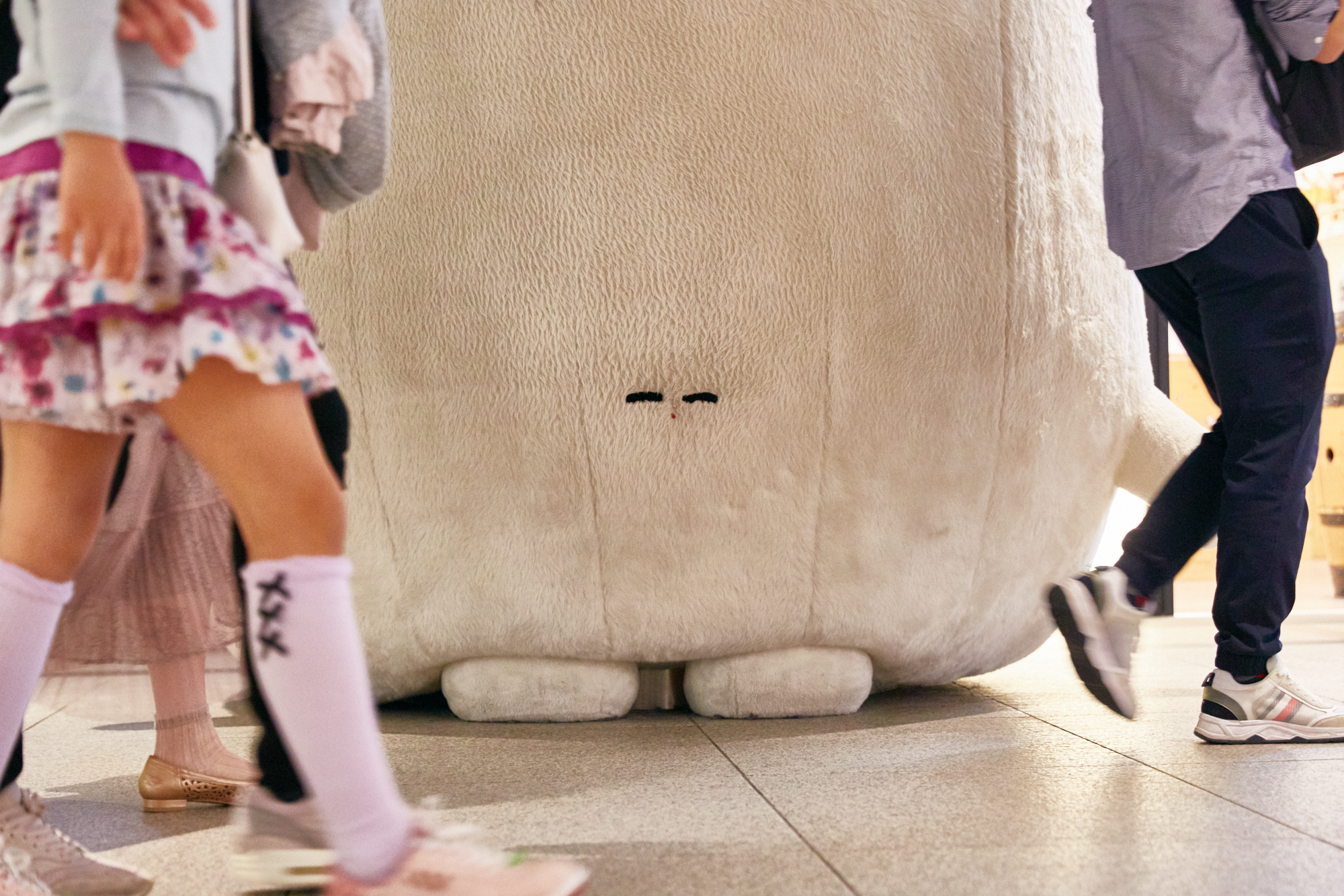 ふくらむちゃん