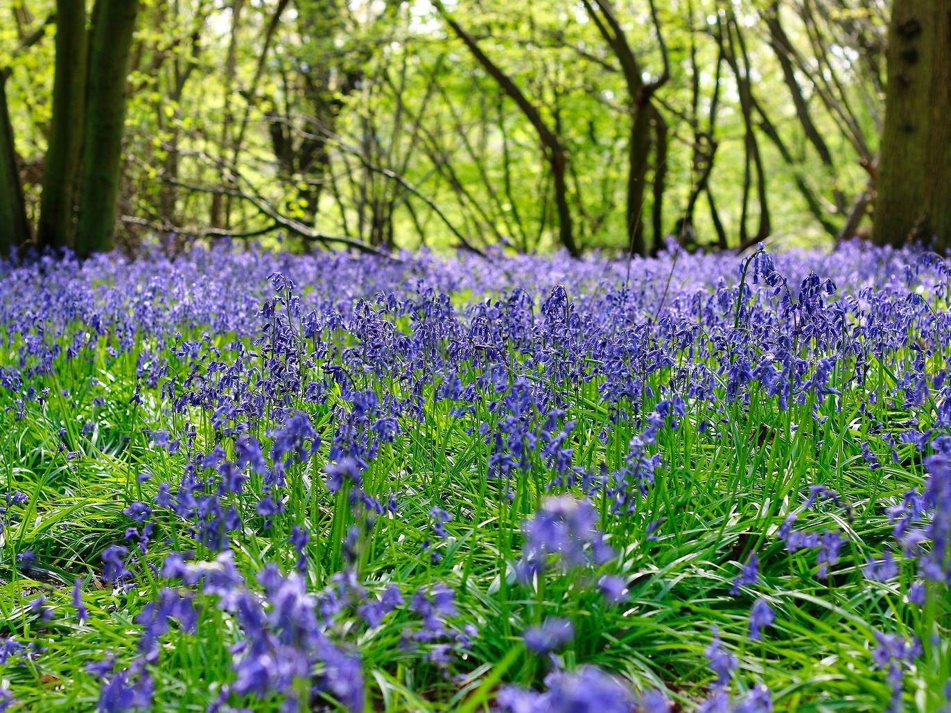 15 Most Beautiful Places to See