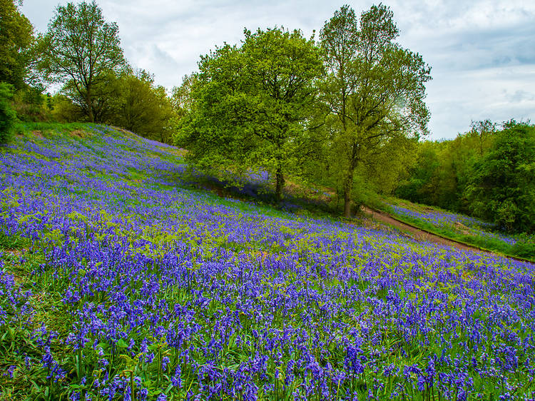 Clent Hills, Worcestershire