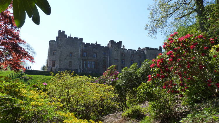 Muncaster Castle and Gardens, Cumbria