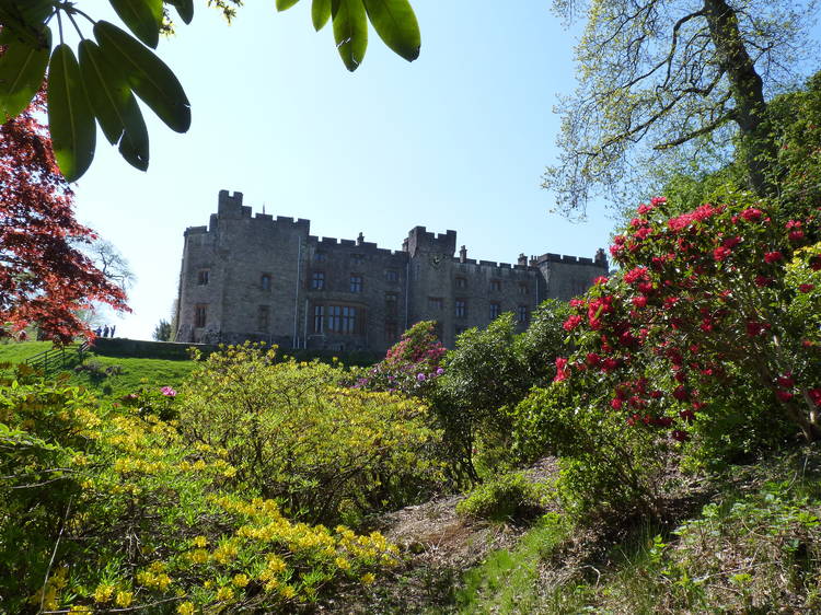 Muncaster Castle and Gardens, Cumbria