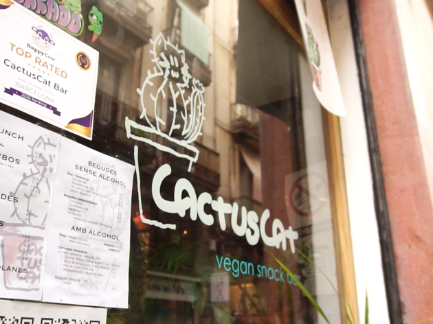 CactusCat Bar CactusCat Bar