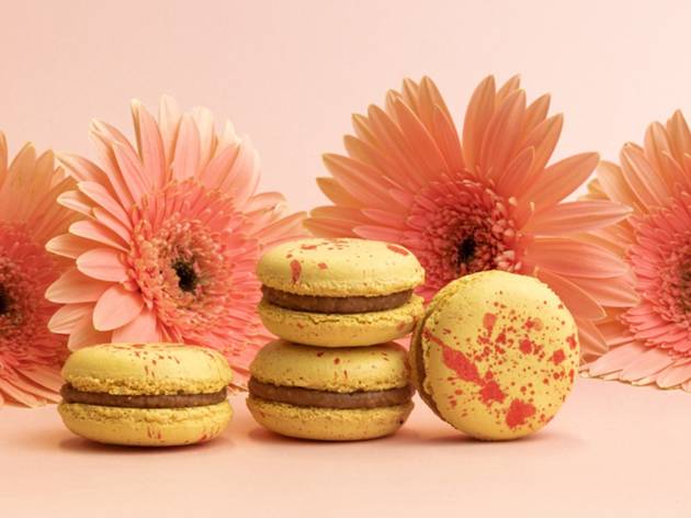 Macaron de margarita (Le Macaron) Macaron de margarita (Le Macaron)