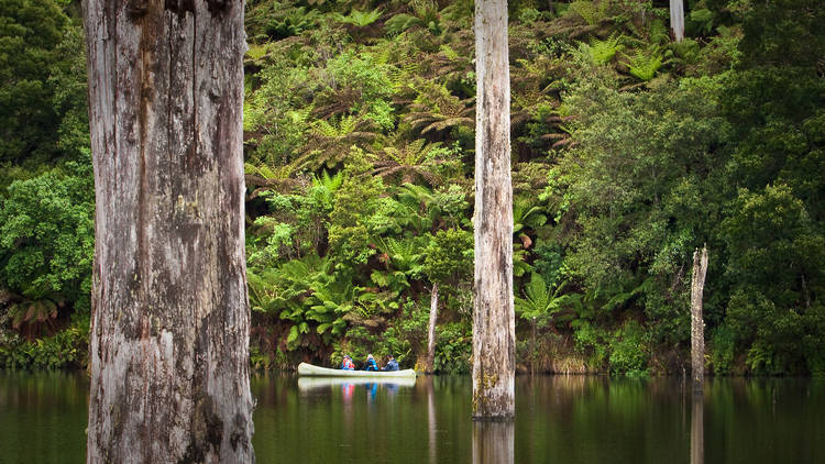 Two people in a canoe paddling on Lake Elizabeth.