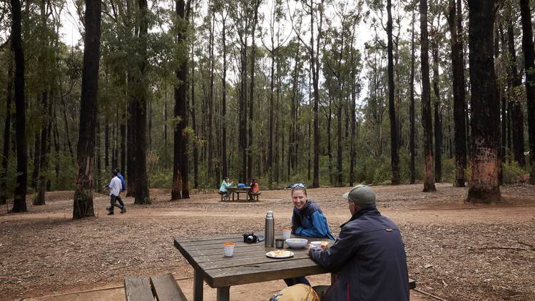 Mason Falls Picnic Area, Kinglake National Park