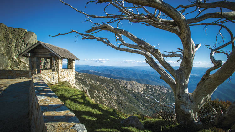 The Horn Picnic Spot, Mount Buffalo National Park