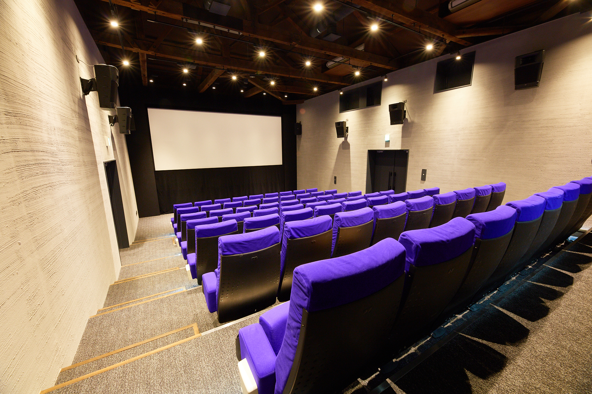 Cinemaneco