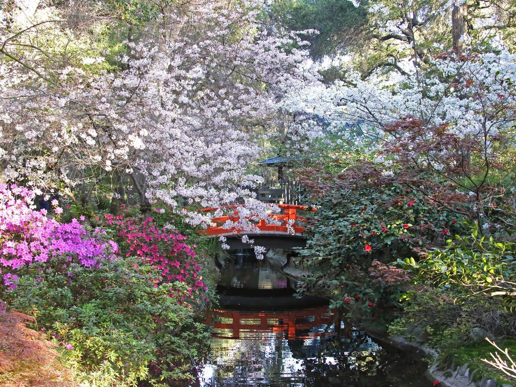 Best Botanical Gardens and Hidden Oases in Los Angeles