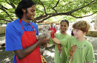 10 Amazing Summer Camps Nyc Kids Love